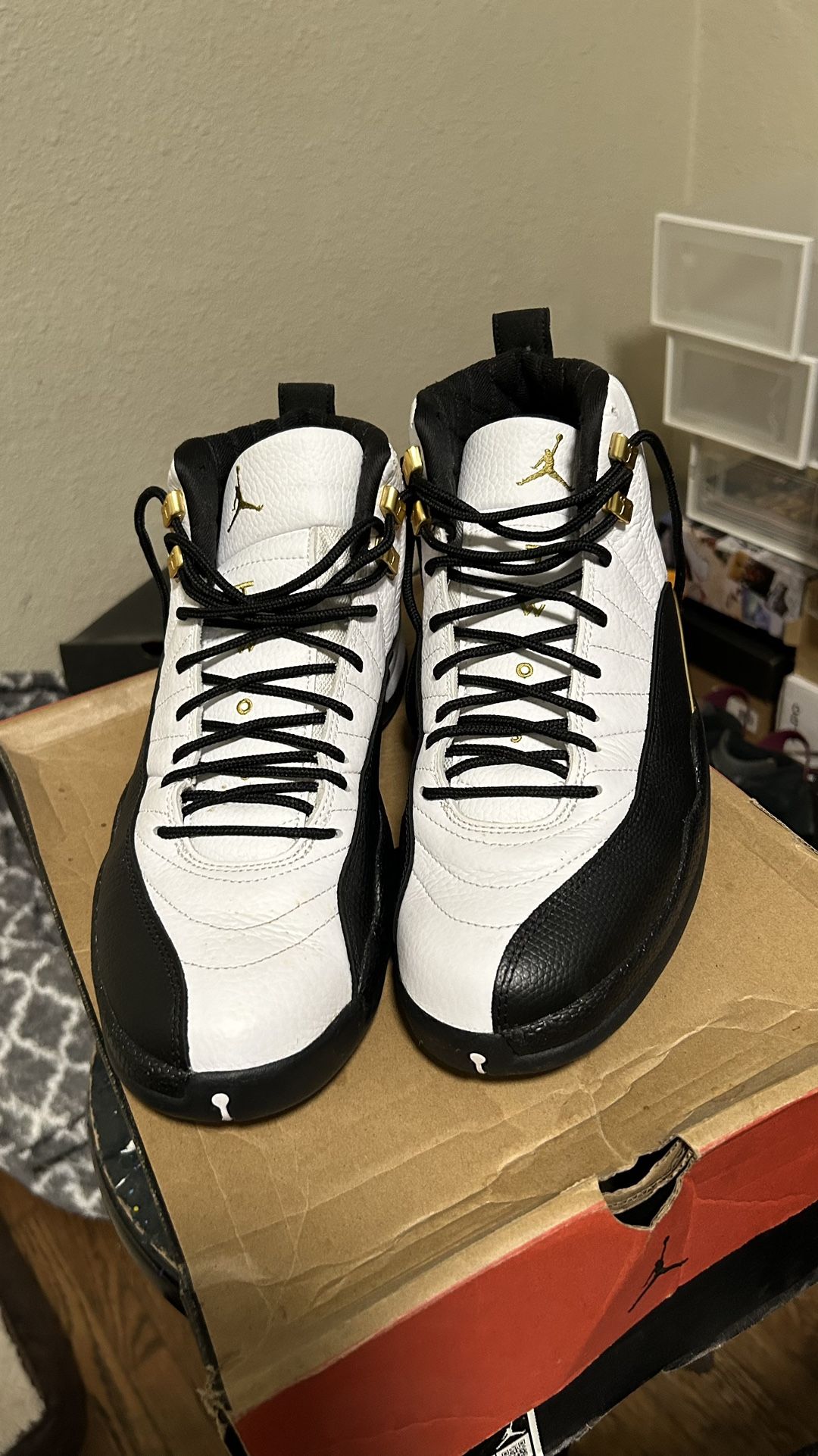 Jordan 12s Royalty Taxi