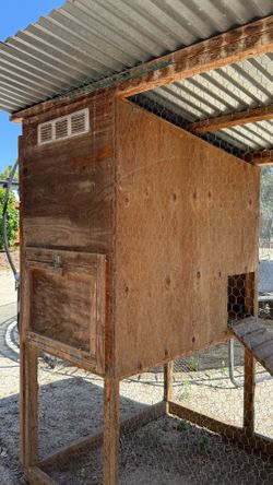 Chicken Coop