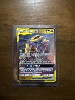 Pokemon Garchomp & Giratina tag team