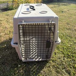 Dog Kennel 