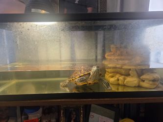 Free Tank