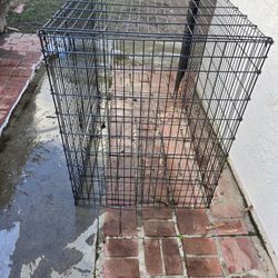 Dog Crate