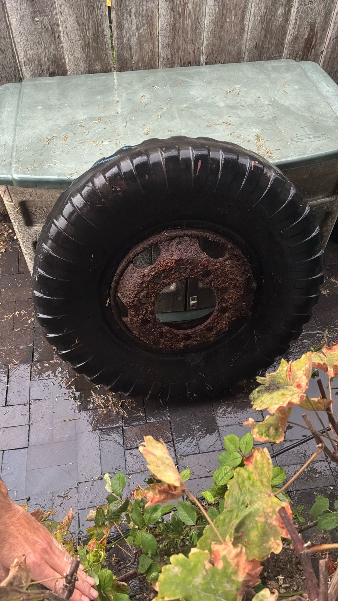 Tractor Tire Farm Decor Fall Decor Pumpkin Patch Halloween
