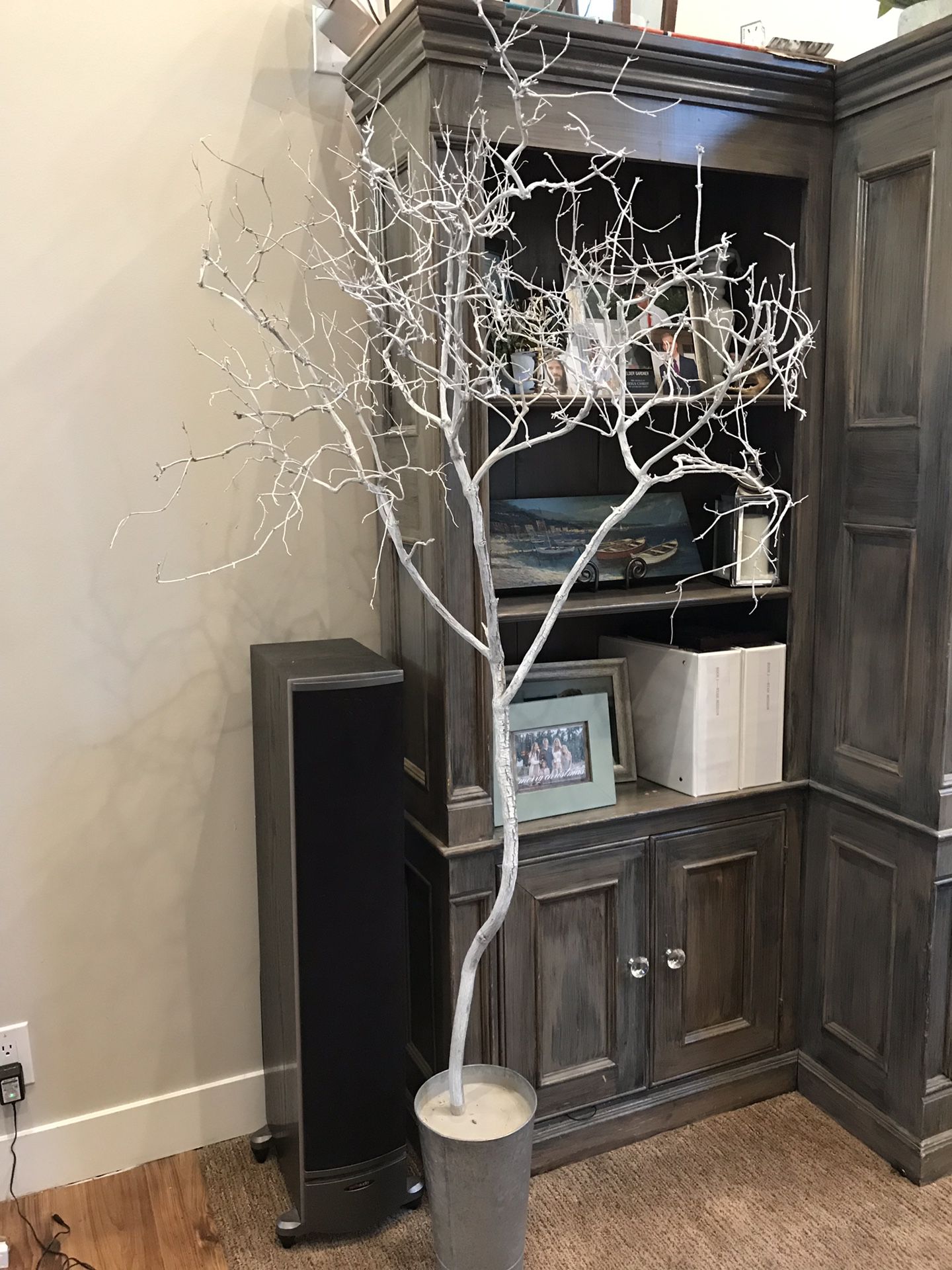 6 feet tall White dried decoration tree cemented in silver plant pot