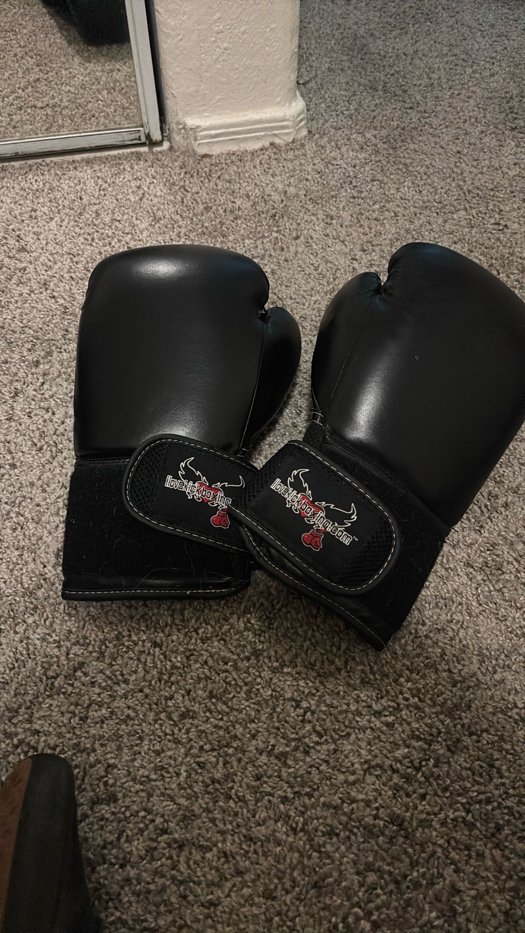 Kickboxing Gloves