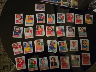 Panini