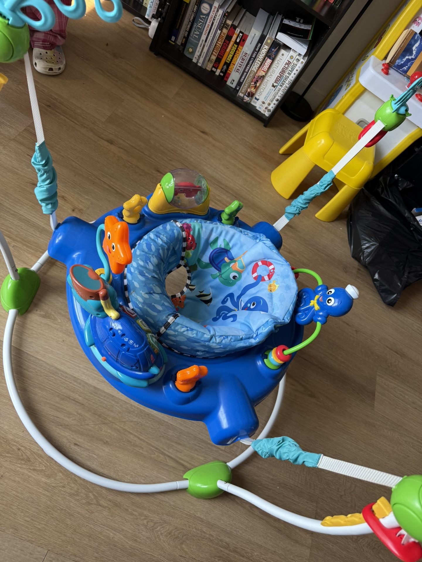 Baby Little Einstein Jumper 
