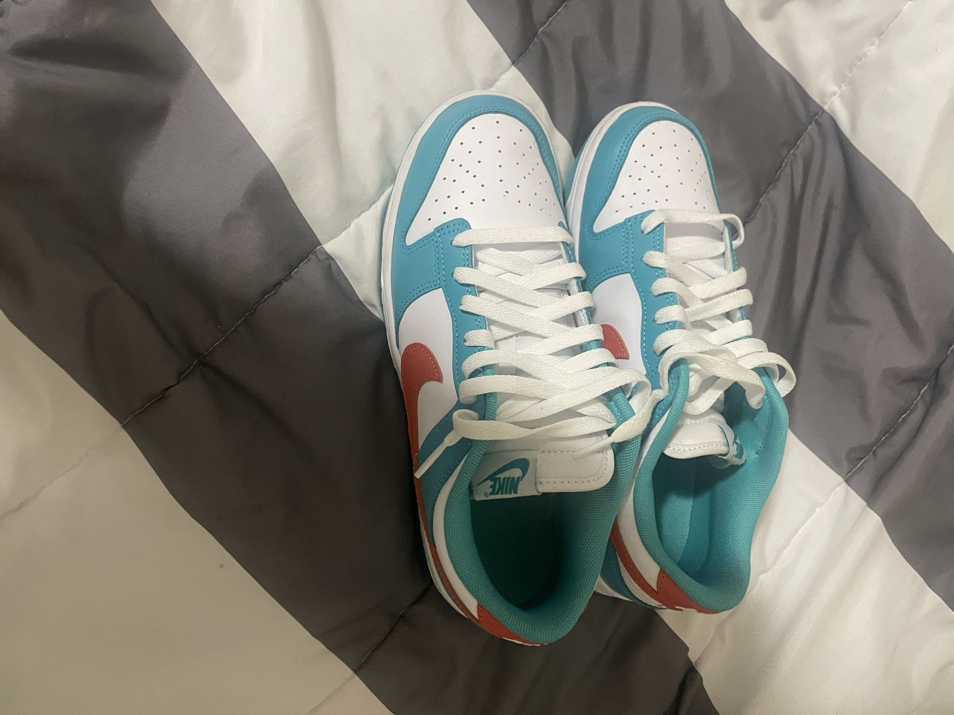$70 Nike Dunk Lows