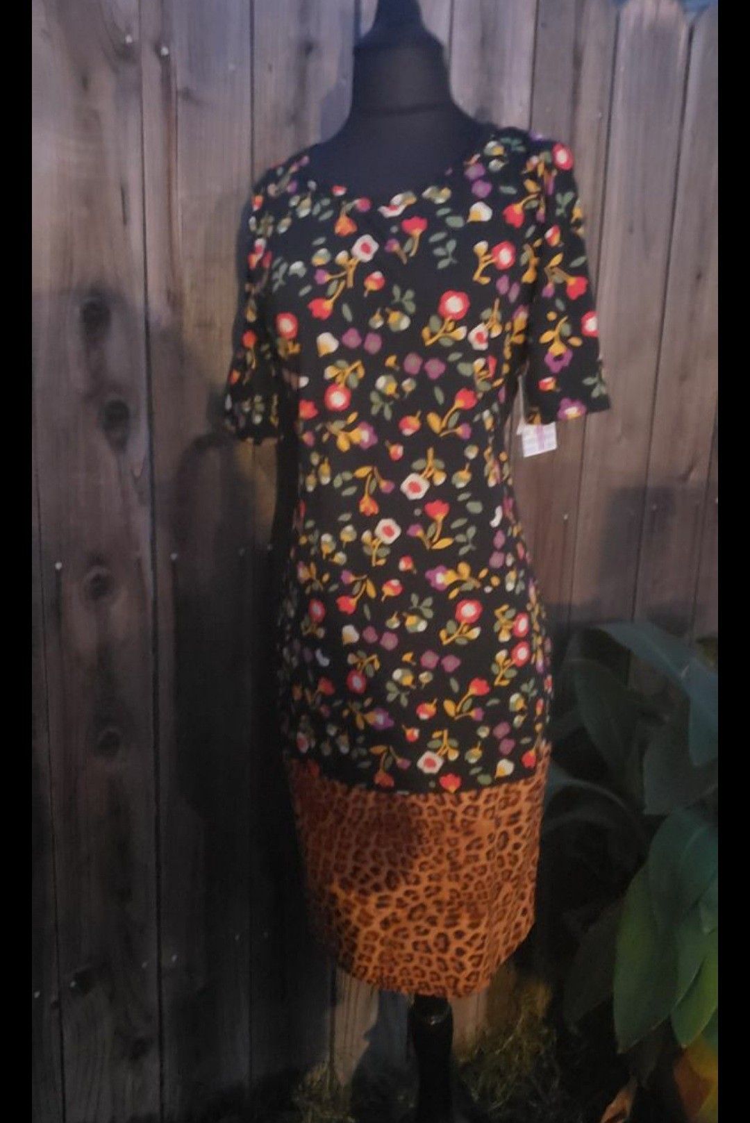 LulaRoe dress