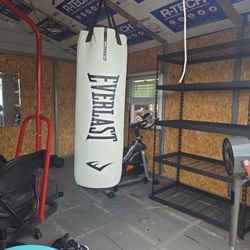 Punching Bag