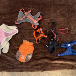 Jackets And Harnesses For Small Dog