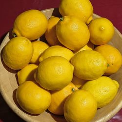 Mayer Lemon 🍋🍋🍋 Big Lemon 🍋