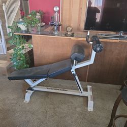 Bodymaster Sit-up Bench