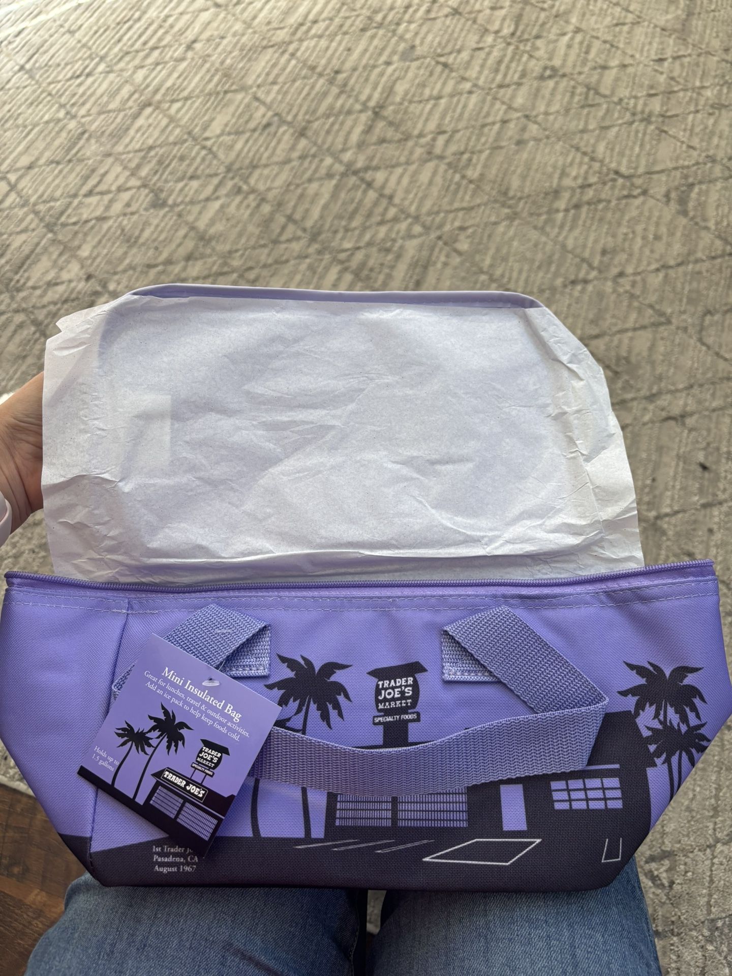 Trader Joe’s Mini Insulated Bag ( Lavender)
