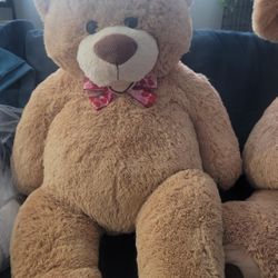 Medium Size Teddy Bear For Valentines 