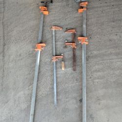 Carpenter Clams Set 4. 