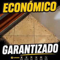 BetoMatafumitodo Economico