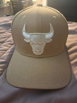 Chicago Bulls Cap