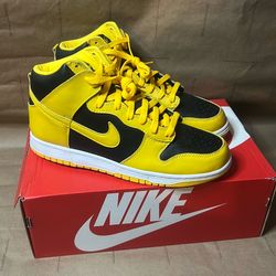Nike dunk Iowa size 11
