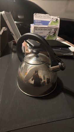 Stainless Steel Whistling Tea Kettle