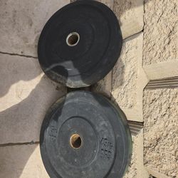 Bumper Weights 45z