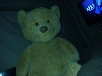 Teddy Bear