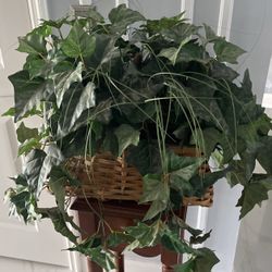Silk Plant In Basket