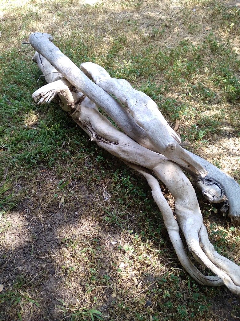 3 Pieces Of Natural Driftwood