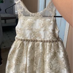 Toddler Dress / Flower Girl 