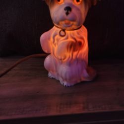 Antique Night Light