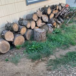 Firewood
