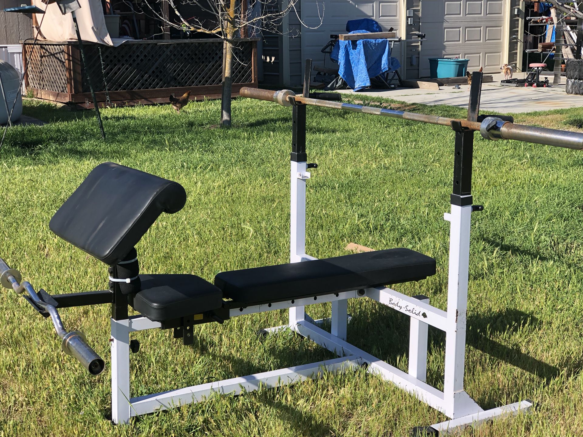 Body solid Olympic Bench/squat/Military Press/squat 