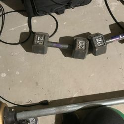 Exercise Weights