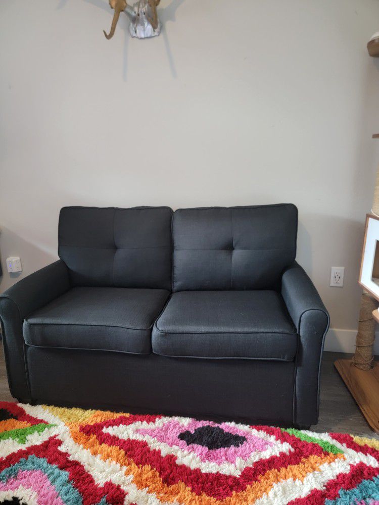 Need Gone By 5/7! Love Seat W/ Fold Out Bed & Outlets