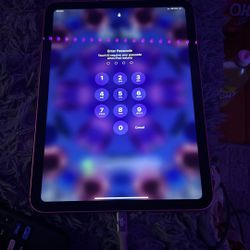 iPad A16 New No Scratches 