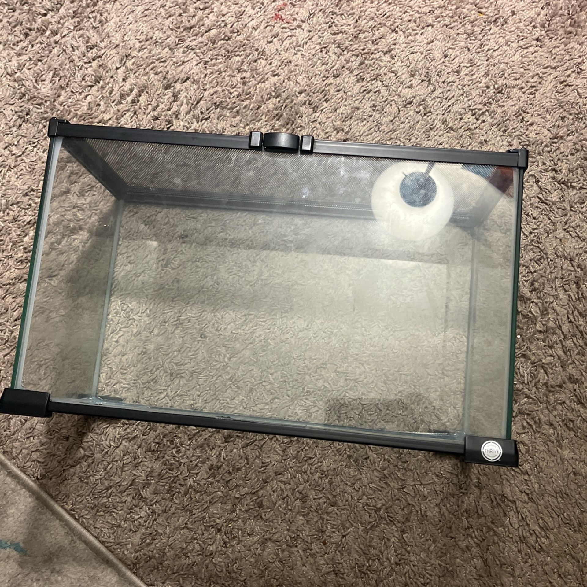 Small Tank