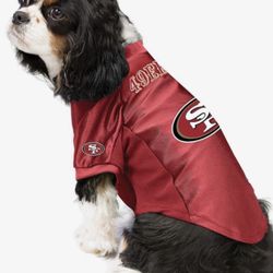 NEW XL DOG JERSEY!!!!!