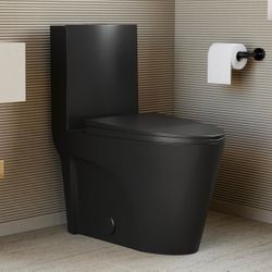 Black One Piece Toilet