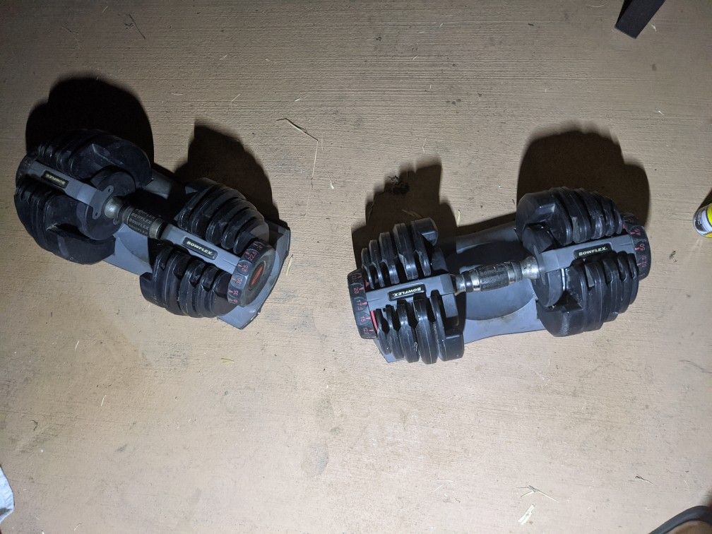 Weights Bowflex dumbells