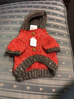 Beautiful small dog outfit