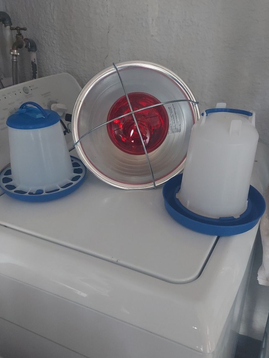 Baby Chick Heat Lamp, Waterer And Feeder
