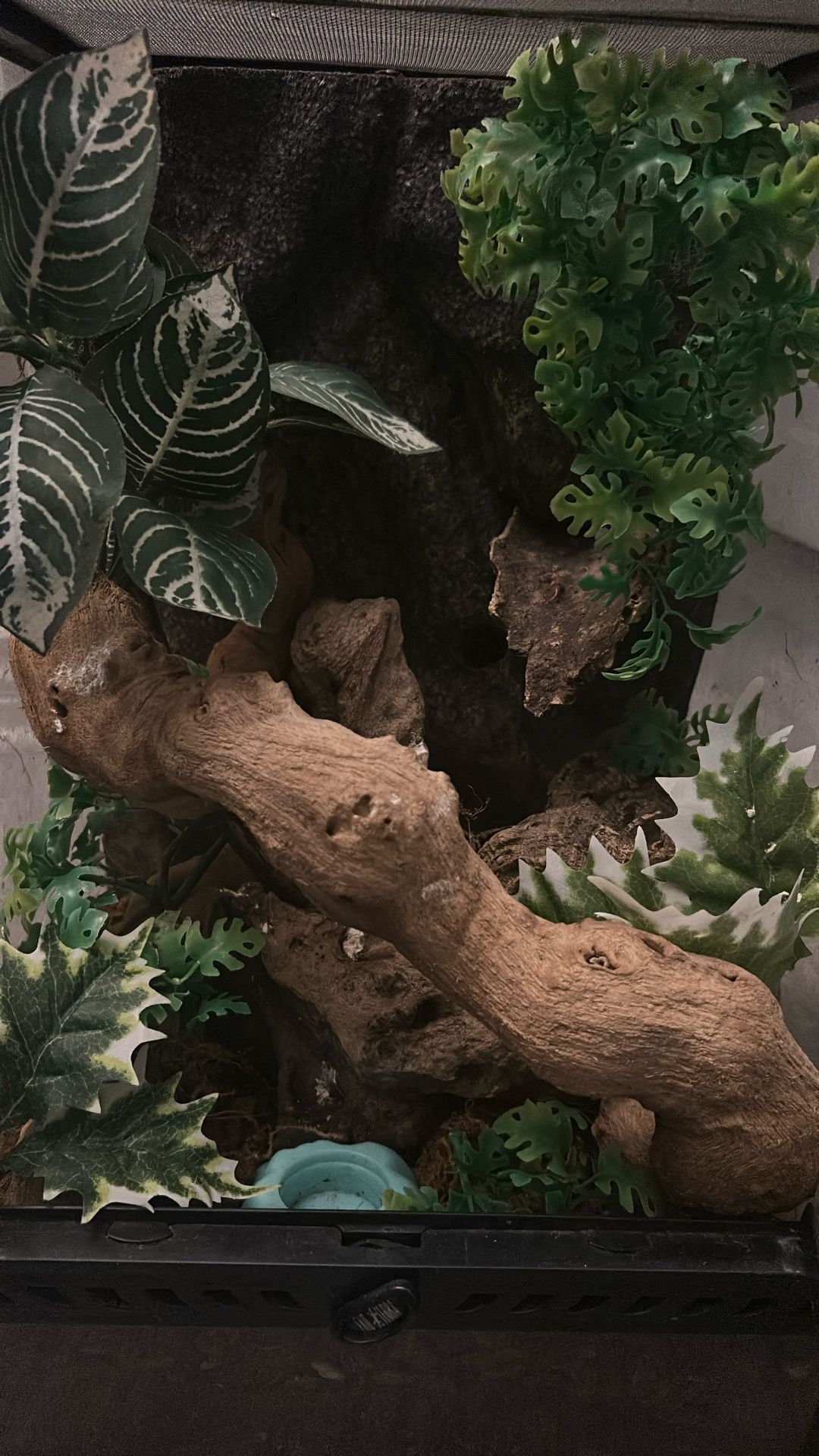 Exo Terra 10 Gal 12x12x18, With Decor 