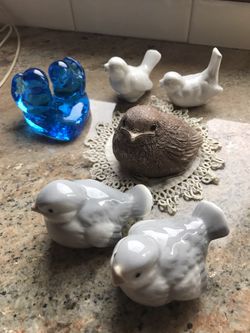 Bird Collection