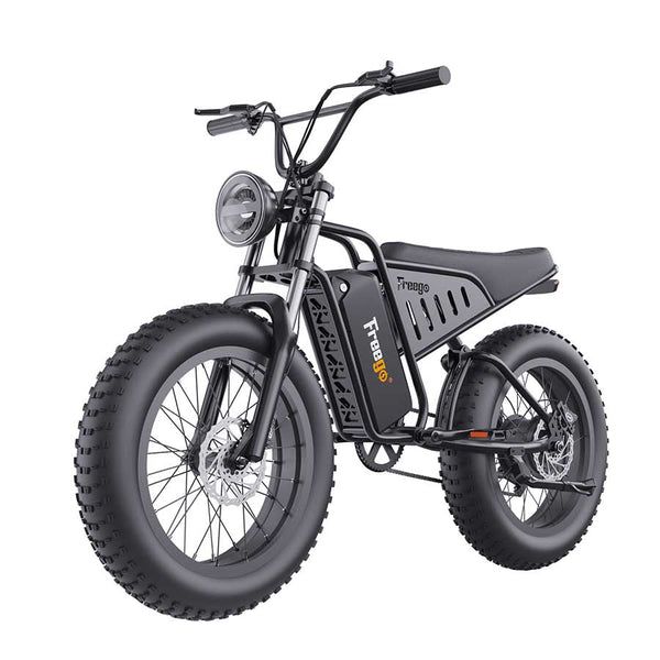 Freego S1 Motorcycle Electric Bike