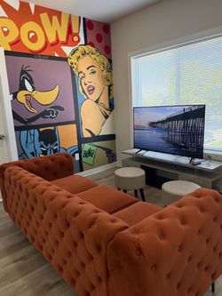 Couch and tv free