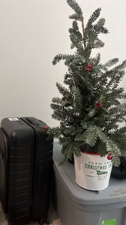 Mini Christmas tree