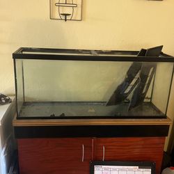 Non Aquatic 50 Gallon Tank