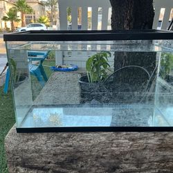 20 Gallon Fish Tank 