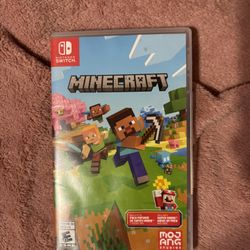 Minecraft Switch 