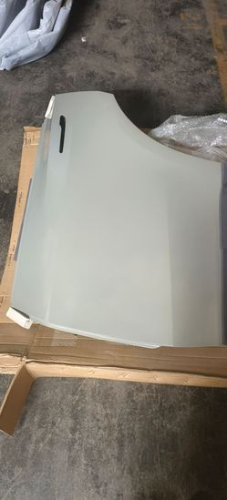 Tesla car door  model 3/y